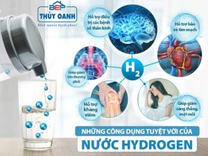 Máy lọc nước ion kiềm Nhật Bản