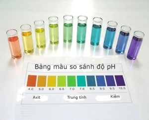 mức độ pH của nước